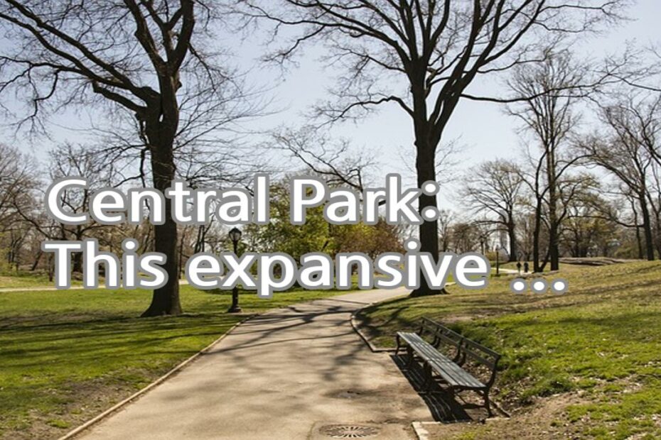 Central Park: This expansive park offers a serene escape from the city's hustle and bustle, with stunning lakes, meadows, and famous landmarks like Bethesda Terrace and Strawberry Fields.