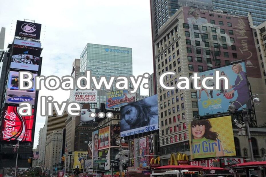 Broadway: Catch a live performance at one of the many iconic theaters in the Theater District, which is renowned for its productions of musicals and plays.