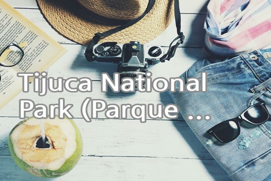Tijuca National Park (Parque Nacional da Tijuca): This is one of the world's largest urban forests, offering hiking trails, waterfalls, and diverse wildlife, making it a great escape from the city.