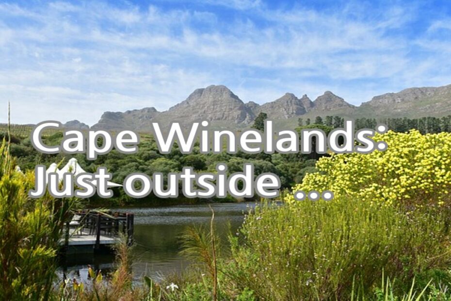 Cape Winelands: Just outside of Cape Town, the Winelands region offers breathtaking landscapes and world-class wineries. Take a scenic drive through Stellenbosch, Franschhoek, and Paarl and enjoy wine tastings and gourmet food.