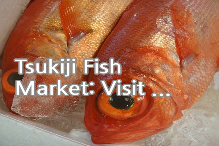 Tsukiji Fish Market: Visit the largest wholesale seafood market in the world, known for its famous early morning tuna auction and freshest seafood.