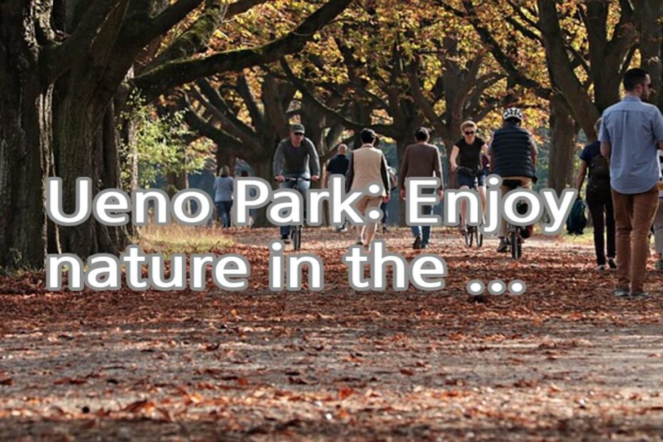 Ueno Park: Enjoy nature in the middle of the city at this expansive park, featuring museums, a zoo, cherry blossom trees, and peaceful ponds.